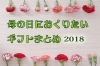 母の日に何贈る 江戸川区内でおススメの母の日ギフト まとめ 江戸川区内の素敵 楽しい 明るい 話題 まいぷれ 江戸川区