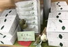 「西海物産館おすすめ商品は「抹茶入り濃緑茶フィナンシェ茶々舟」です♪」