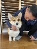 仲良くしてくれる方募集してます✨「急募‼️    一緒に働いてみませんか☺️✨」