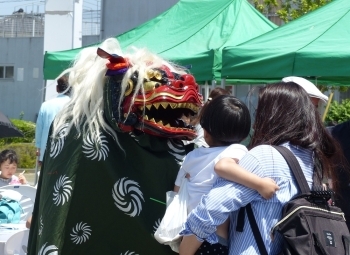 大丈夫、怖くないよ～