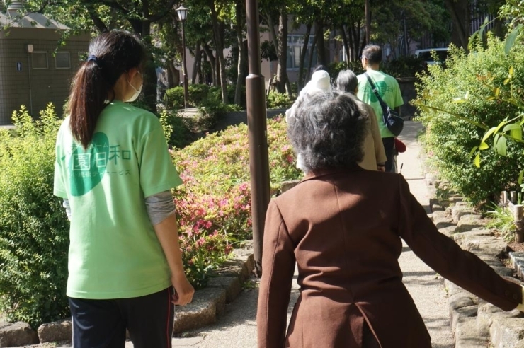 季節の植物をゆっくり見ながら進みます。