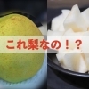 改めて知りたい、市川の梨特集！