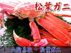 「突っ走れ　ゲリラランチ」