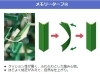 「メモリーターフ　【人工芝】　国内最高スペック高級ブランド人工芝　見た目のリアルさ日本トップクラス!」