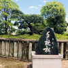 別府町東町の住吉神社にある「手枕（たまくら）の松」に取材にいってまいりました♪♪