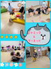 「春雨遊び✨【交野市・小規模保育園】」