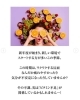 「【新生活でストレスが…💭そんな時は〇〇〇〇を摂取！】」