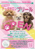 「3月5日オープン！ドッグサロンプリールです【長野県木曽郡木曽町で小型〜中型犬対応のドッグサロン・ペットホテルならプリールへ】」