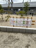 ほのぼのとした手作り菜園、ふれあい広場「施設前「ふれあい菜園」で夏野菜が元気に育っています」