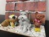 可愛い動物のオブジェご用意！「7/18 キッズフェスin江津に参加！動物オブジェ塗装体験♪」