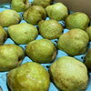 「 「ラ・フランス」の入荷も始まってます🍐 岩手県花巻地区産　JAいわて花巻　「ラ・フランス」」