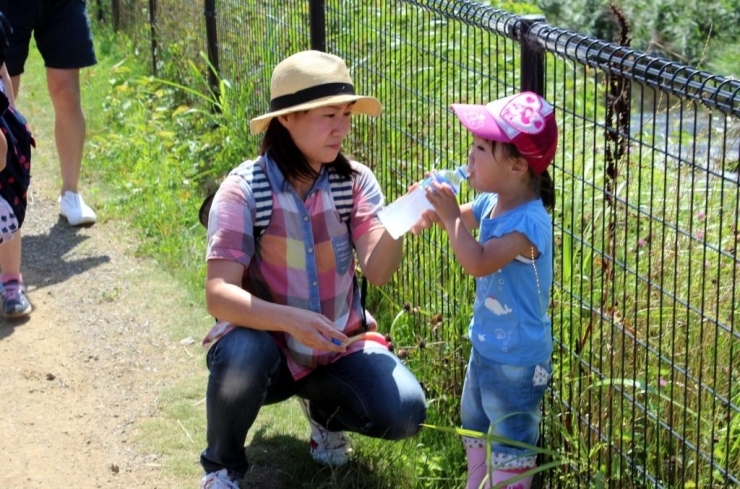 歩きながらもしっかり水分補給は忘れずにとっていました！