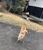 ボールを追いかけて「キャッチボール（＾∇＾）」