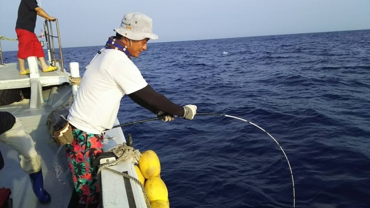 インパクト 遊漁船インパクト 釣り船一日チャーター券 他2種類 ふるさと納税で日本を元気に 門川町 まいぷれ 延岡 門川 西臼杵