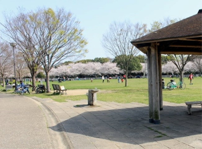 津田公園 姫路のお花見おすすめスポット特集 桜が綺麗な花見スポットをご紹介 まいぷれ 姫路 津田公園 姫路のお花見おすすめスポット特集 桜が綺麗な花見スポットをご紹介 まいぷれ 姫路