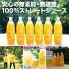 「○当店限定 オリジナル 写真入り命名札がリニューアル❗️ 計45通りの組合せ♪」