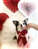 姫ちゃん　シニアさん「Happy Valentine ♡」