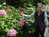 きれい！「紫陽花を見に外出しました。」