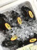 「魚魚市場鮮魚コーナーおすすめは「コロダイ」です♪」