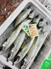 「西海物産館・魚魚市場鮮魚コーナーおすすめは「キビナゴ入荷してます」です♪」