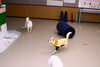 「今日のお友達」