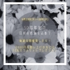 鈴木園芸生花店はお陰様で開業50周年を迎えることが出来ました 有 鈴木園芸生花店のニュース まいぷれ 朝霞 志木 新座 和光