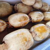 「「新れんこん」入荷しています～♪♪ 茨城県産　「新れんこん(ハウス栽培)」」