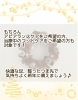 この機会に是非♪「【初めての方限定】12月のキャンペーン✨」