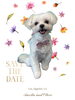 「Dog salon mofu mofu　余市町」