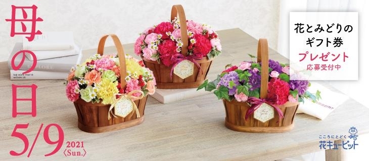 黒部 入善 朝日 まいぷれ