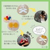 「【リトミック・磯子区】おうちでも出来る！とんぼの製作✨小さな事から出来た！を増やそう！」