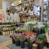 「【はなやホック皆生店】お盆花」