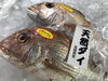 「魚魚市場鮮魚コーナーおすすめは「キンメダイ」です♪」