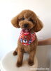 Smile （＾Ｏ＾）「はじめまして(^-^)＆ご予約について」