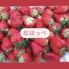 紅ほっぺ