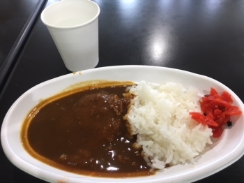 スタッフのお昼ご飯は食堂で、恒例のカレーライス、ミンチカツ乗せ。