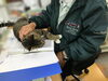 「社長の机で手を枕にして寝るクルミ」