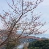 「魚魚市場鮮魚コーナーおすすめは「サバ・白魚」です♪」