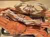 ズワイガニ！！「久しぶりに入荷！ズワイガニ蒸し（香箱風）6個限定でご提供🦀」