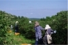 「【ChitoseWinery◆父の日ギフト】」