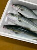 「岩船港直売所本日営業致します」