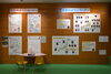 日本で見られるオランウータンも紹介します「ようこそ！ジェニファー展　～オランウータンのジェニファーがやってきた！～」