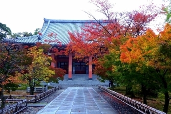 京都 紅葉穴場スポット 智積院 京都 紅葉だより まいぷれ 京都市下京区 東山区