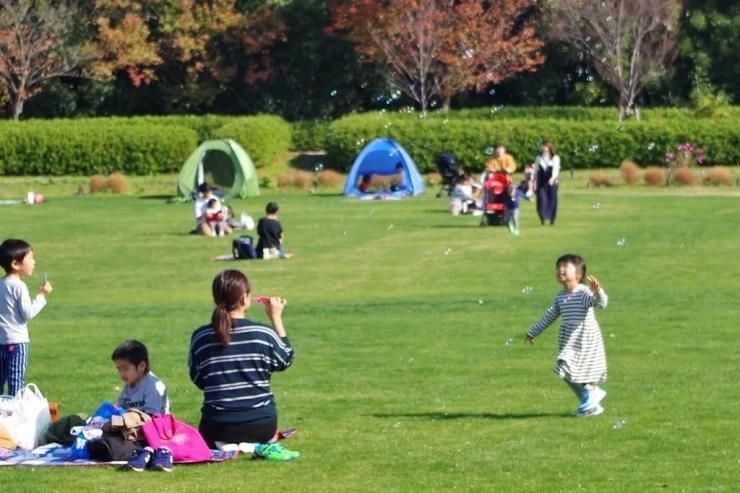 梅小路公園、芝生広場では心地よい風にシャボン玉を追いかけていました。
