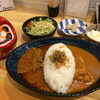 じわじわくる辛さがやみつきになるCurry&Bar Daruma【宮崎市エリア】