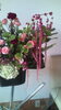 「新社会人スタートの日」
