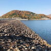 紅葉に色づく木々に囲まれた「権現ダム」を散策してまいりました♪♪