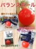「我が社のプチブーム　【バランスボール】」