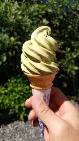 緑茶ソフトクリーム「土曜日限定ソフトクリーム半額《100円》！」