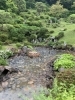 「こんな作業もやります！池の清掃作業」